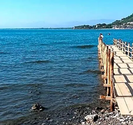 Mare